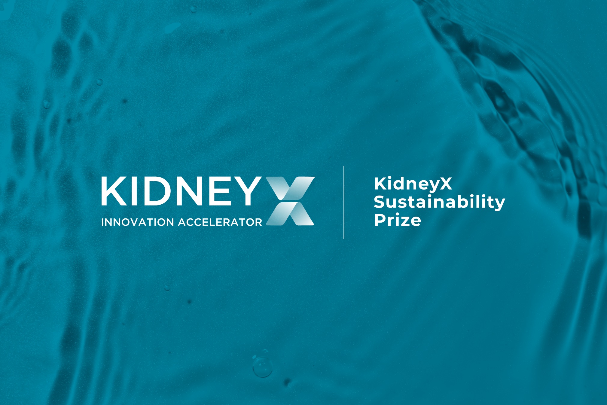 7 solutions to make kidney care more sustainable